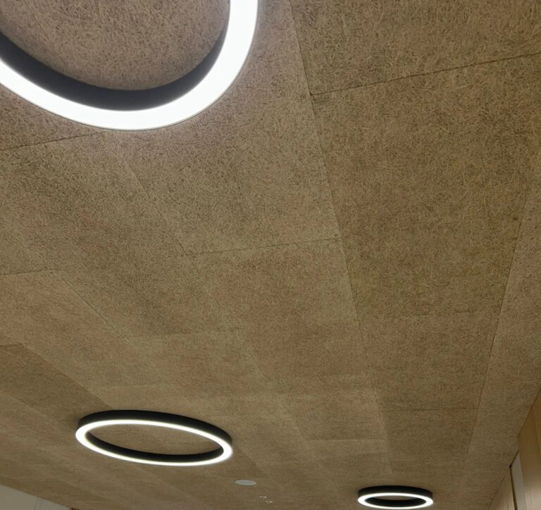 Plafond acoustique Schichtex install&eacute; dans les sanitaires d&rsquo;un &eacute;tablissement scolaire &agrave; Cointrin afin d&rsquo;am&eacute;liorer le confort acoustique et la durabilit&eacute; des espaces.