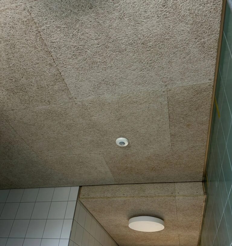 Plafond acoustique Schichtex install&eacute; dans les sanitaires d&rsquo;une &eacute;cole &agrave; Cointrin, Gen&egrave;ve, pour am&eacute;liorer l&rsquo;absorption acoustique et le confort des usagers.